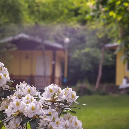 Maison d'hôtes Bungalow In Lovely And Familial Area For 2 Or 3 Persons 3*
